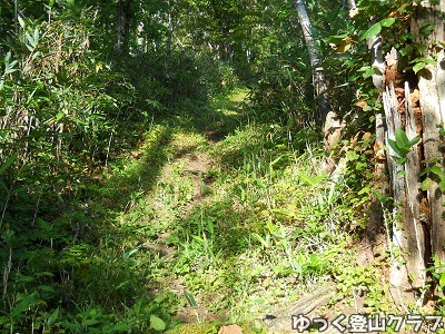 羊蹄山を喜茂別コースから登った