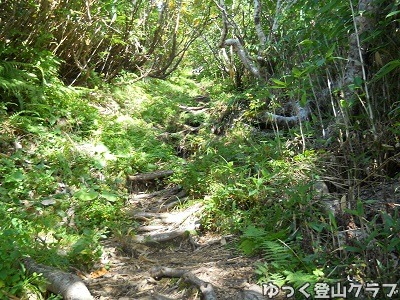 羊蹄山を喜茂別コースから登った