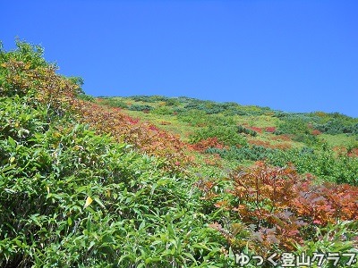 羊蹄山を喜茂別コースから登った