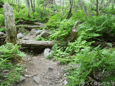 恵庭岳