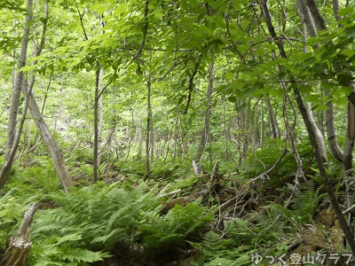 恵庭岳