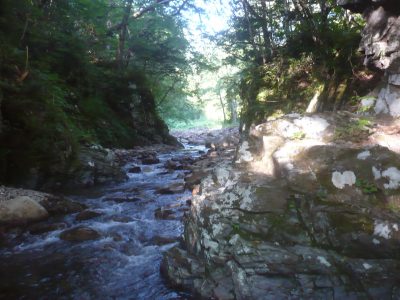 コイカクシュサツナイ岳への沢