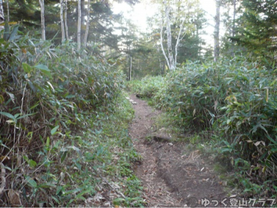 日帰りできるトムラウシ短縮コース登山