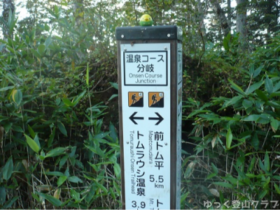 日帰りできるトムラウシ短縮コース登山