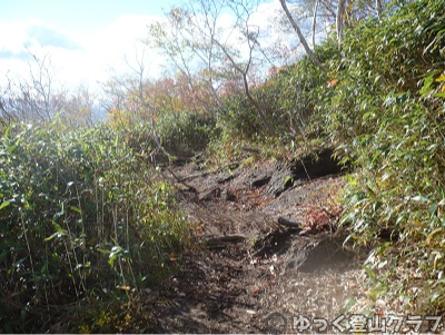 日帰りできるトムラウシ短縮コース登山