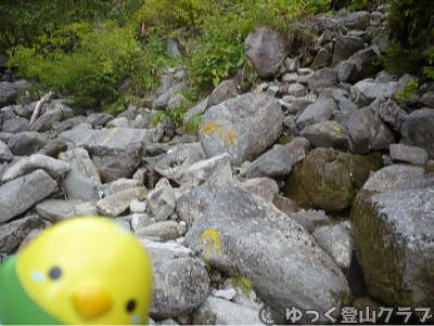 日帰りできるトムラウシ短縮コース登山