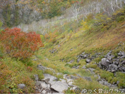 日帰りできるトムラウシ短縮コース登山