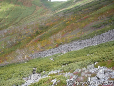 日帰りできるトムラウシ短縮コース登山