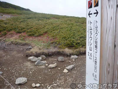 日帰りできるトムラウシ短縮コース登山