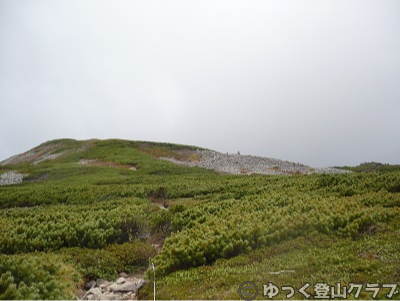 日帰りできるトムラウシ短縮コース登山