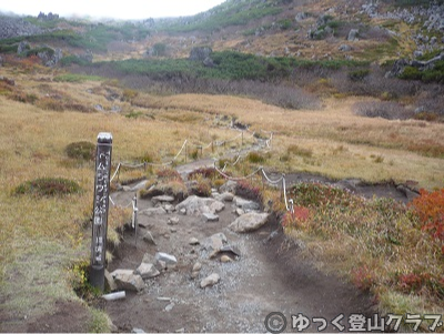 日帰りできるトムラウシ短縮コース登山