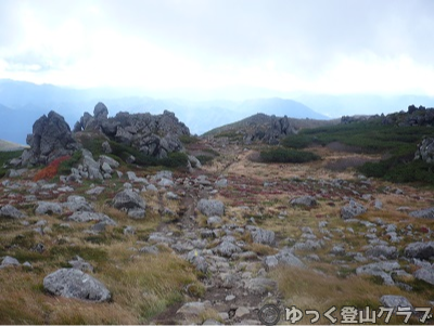 日帰りできるトムラウシ短縮コース登山