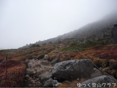 日帰りできるトムラウシ短縮コース登山