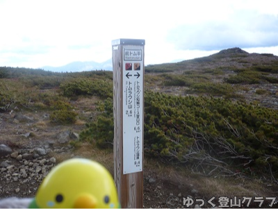 日帰りできるトムラウシ短縮コース登山