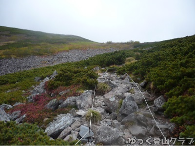 日帰りできるトムラウシ短縮コース登山