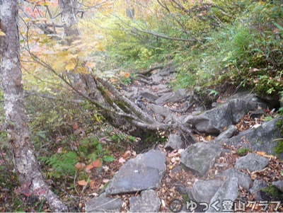 日帰りできるトムラウシ短縮コース登山