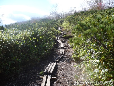 日帰りできるトムラウシ短縮コース登山