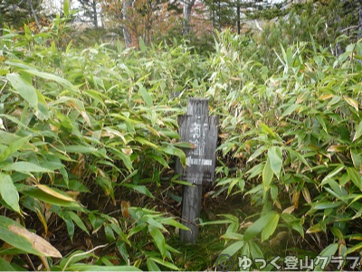 日帰りできるトムラウシ短縮コース登山