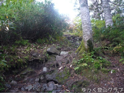 日帰りできるトムラウシ短縮コース登山