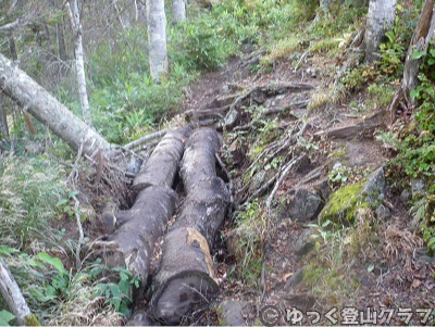 日帰りできるトムラウシ短縮コース登山