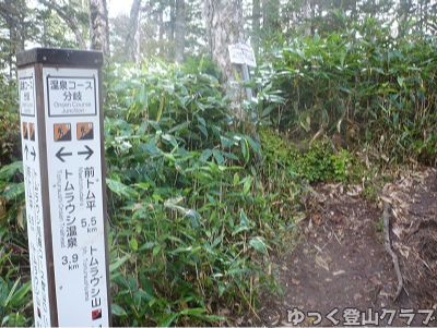 日帰りできるトムラウシ短縮コース登山