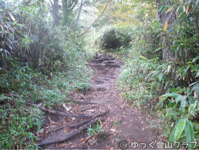 日帰りできるトムラウシ短縮コース登山