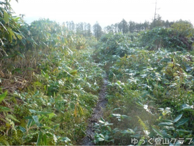 羊蹄山を喜茂別コースから登った写真