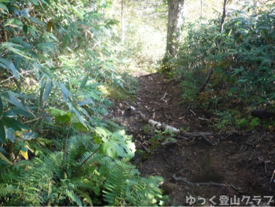 羊蹄山を喜茂別コースから登った写真