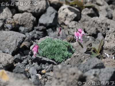 樽前山のおすすめポイント