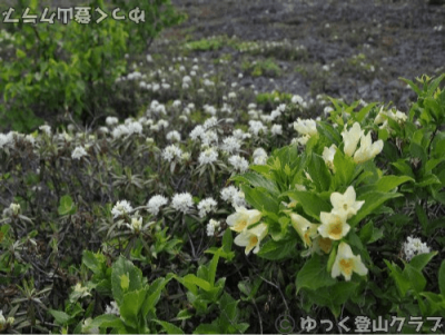 樽前山のおすすめポイント