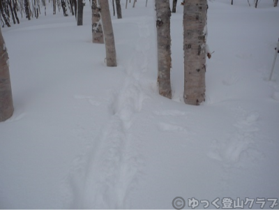 冬山で山スキー