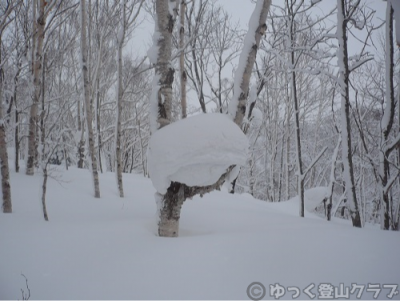 冬山で山スキー