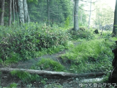 石狩岳シュナイダーコースから日帰り登山