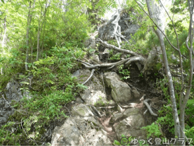 石狩岳シュナイダーコースから日帰り登山