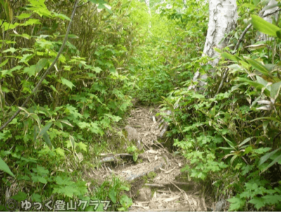 石狩岳シュナイダーコースから日帰り登山