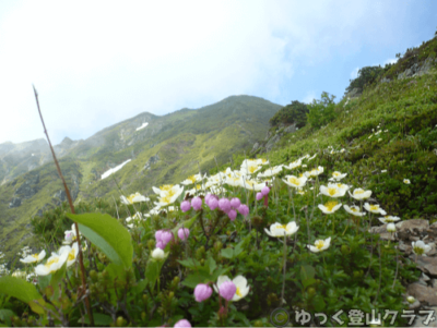 石狩岳シュナイダーコースから日帰り登山