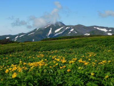 クチャンベツからトムラウシピストン縦走