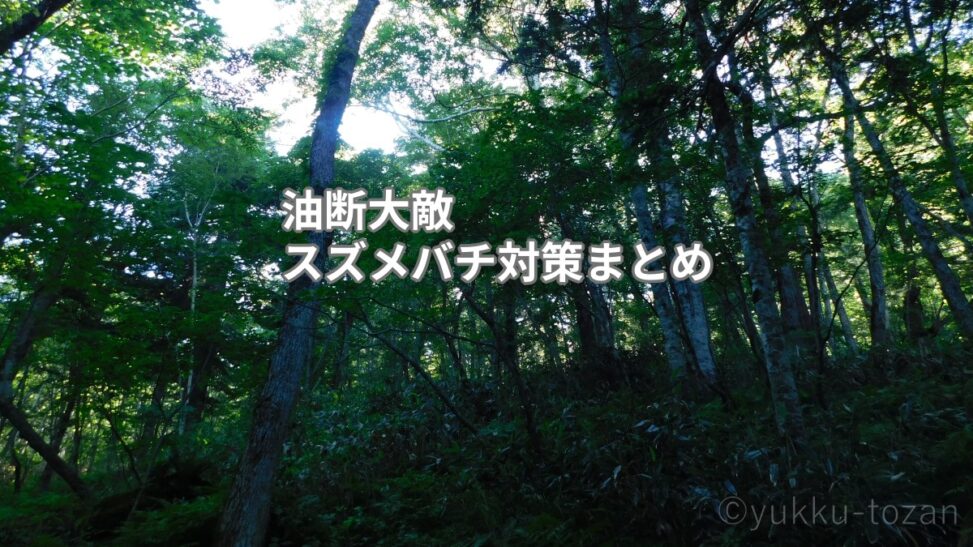 山で一番こわいのはスズメバチでした｜遭遇時の対処・刺された時の対応まとめ