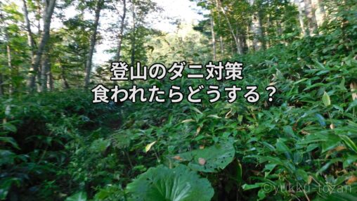 登山のダニ対策｜自分でできるダニの取り方